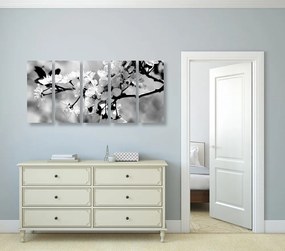 5-dielny obraz čerešňový kvet v čiernobielom prevedení - 200x100