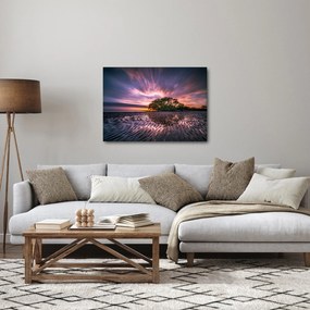 Obraz stromu na pláži (70x50 cm)