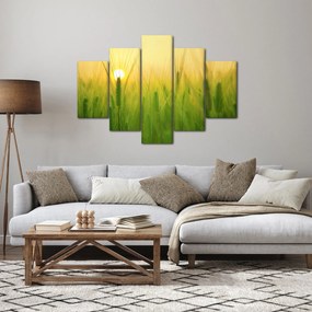 Obraz - Pole s obilím (150x105 cm)