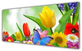 Obraz plexi Motýľ kvety príroda 125x50 cm