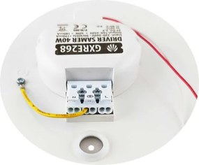 LED Stmievateľné stropné svietidlo SAMER LED/40W/230V 2900-6000K + DO