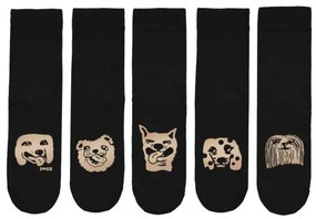 Set ponožiek Dogz, 5ks / čierno-bronzové, Veľkosť  36-40