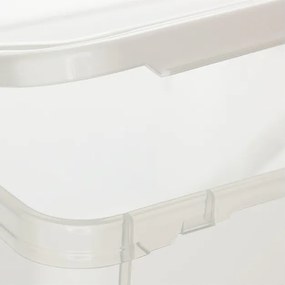 Plastový úložný box s vekom - Rotho