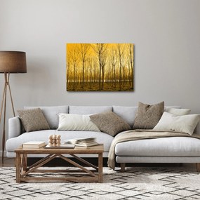 Obraz - Plantáž stromov (70x50 cm)