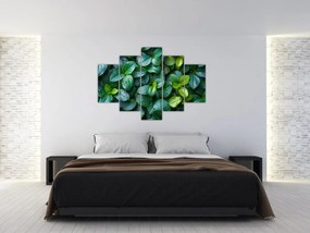 Obraz - Zelené rastliny (150x105 cm)