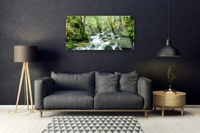 Skleneny obraz Les potok vodopády rieka 125x50 cm