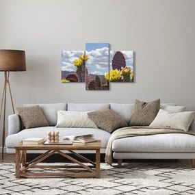 Obraz opuncie (90x60 cm)
