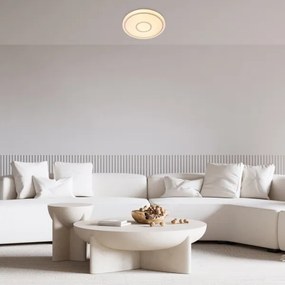 Rabalux 71117 - LED stropné svietidlo TAYTUM LED/25W/230V 3000K