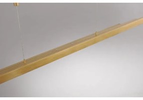 Paul Neuhaus 2568-60 - LED Stmievateľný luster na lanku ADRIANA LED/14W/230V mosadz