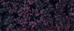 Obraz tmavočervených lístočkov (120x50 cm)
