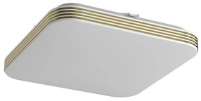 Stropné LED svietidlo Dabar, 1x LED 11w, 4000k, g