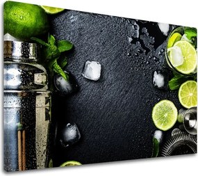 Obraz na stenu LIMETKY_073-11