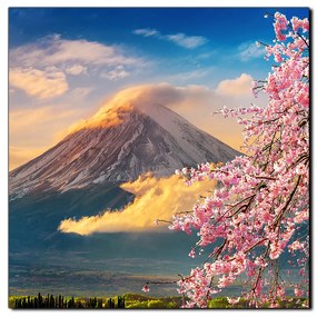Obraz na plátne - Hora Fuji a čerešňové kvety na jar - štvorec 3266A (80x80 cm)