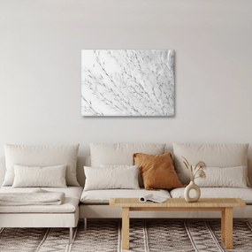 Obraz - Pampas grass N⁰2 (70x50 cm)