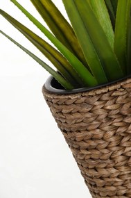 Kvetináč CLASSIC ROUND, vodný hyacint, výška 60 cm, hnedý