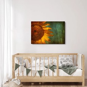 Obraz - Slnečnica (90x60 cm)