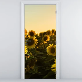 Fototapeta na dvere - Slnečnicové pole (95x205cm)