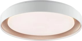 Brilliant - Stmievateľné LED stropné svietidlo WALDO LED/36W/230V biela/ružové zlato + diaľkový ovládač