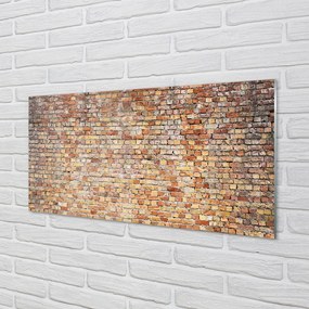 Obraz plexi Tehlová múr kamenná 100x50 cm