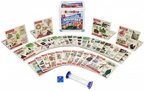 BrainBox - Slovensko