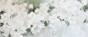 Obraz - Abstrakcia bielych kvetov (120x50 cm)