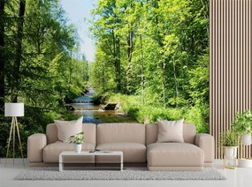 Gario Fototapeta Rieka v zelenom lese Materiál: Vliesová, Rozmery: 400 x 280 cm