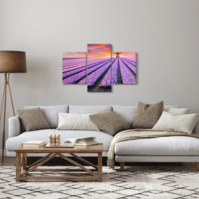 Obraz - kvetinová farma (90x60 cm)