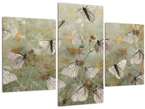 Obraz - Vintage motýle (90x60 cm)