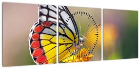 Obraz motýľa na kvete (s hodinami) (90x30 cm)