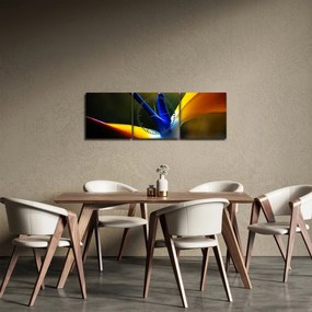 Obraz - Exotický kvet (s hodinami) (90x30 cm)