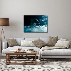 Obraz - Makro (70x50 cm)