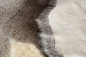 Koberec RENIFER POK019 hnedý