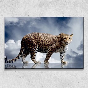 Foto na plátne Gepard 90x60 cm