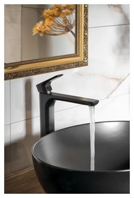 Matne čierna stojančeková umývadlová batéria Spy – Sapho