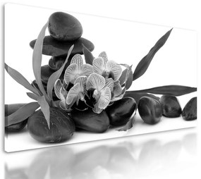 Obraz čiernobiely kvet orchidei v SPA zátiší