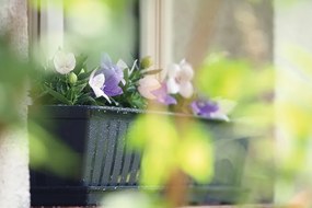 Truhlík ARGO antracit