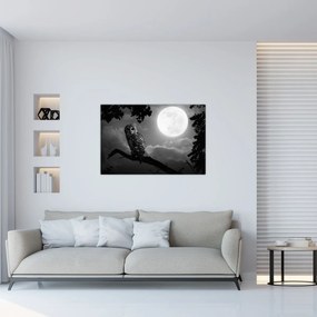 Obraz - Nočná sova, čiernobiela (90x60 cm)