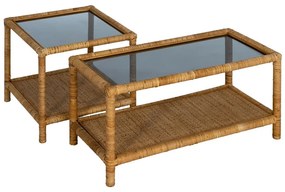 Konferenčný stolík so sklenenou doskou v prírodnej farbe 40x90 cm – Ixia