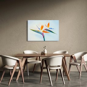Obraz kvetu Strelícia (90x60 cm)