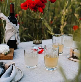 Sklenený pohár La Rochère Libellules, objem 280 ml