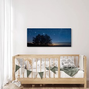 Obraz stromov v noci (120x50 cm)