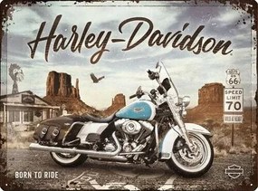 Plechová ceduľa Harley-Davidson - King of Route 66, (40 x 30 cm)