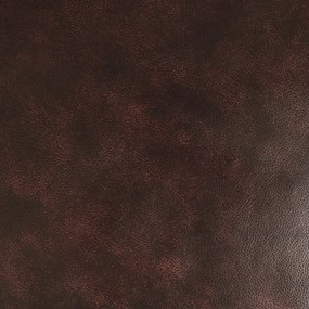 furniture-nabytek.cz - Kreslo Brusel z pravej hovädzej kože