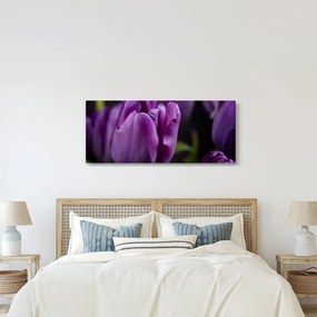 Obraz kvetov tulipánov (120x50 cm)