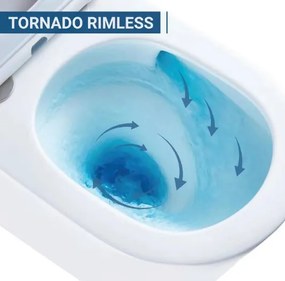 Erga Lily, závesná WC misa Rimless Tornado Flush 490x370x360 mm + toaletné sedadlo s pomalým zatváraním, biela, ERG-LILY-CE-93-001