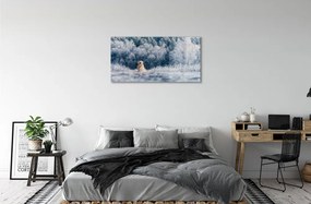 Sklenený obraz Zime salašnícky pes 100x50 cm