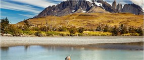 Obraz - Národný park Torres del Paine (120x50 cm)