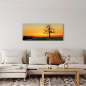 Obraz stromu na poli (120x50 cm)