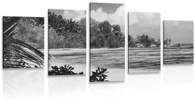 5-dielny obraz pláž na ostrove La Diguo v čiernobielom prevedení - 100x50