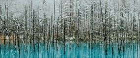 Obraz - Tyrkysový rybník, Biei, Japonsko (120x50 cm)